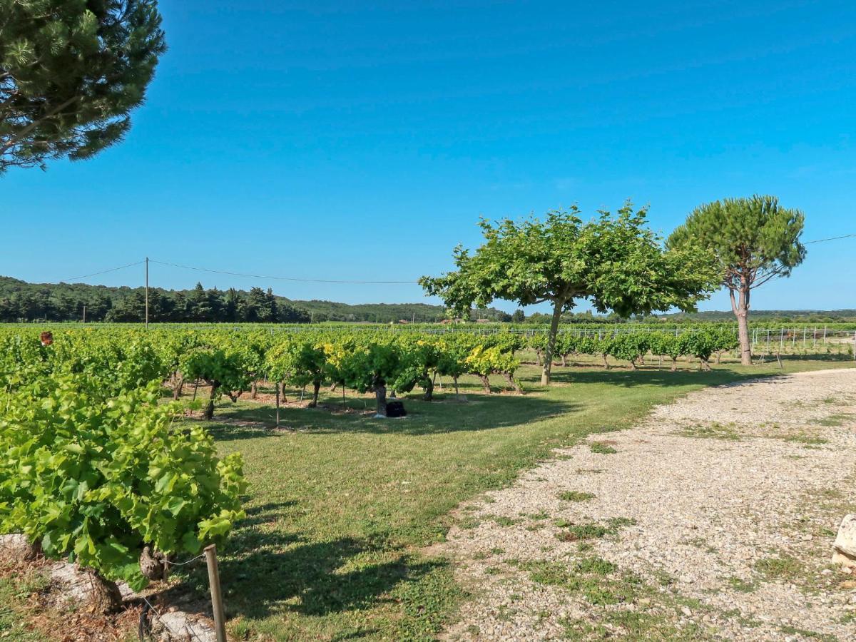 Holiday Home La Cardeline By Interhome Grillon Dış mekan fotoğraf